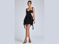The Paneled ruffle mini dress "Evalia" (Image via Oh Polly)